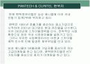 팬택앤큐리텔의 비전 5페이지