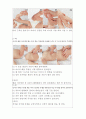 메뉴얼 테크닉의 종류 30페이지
