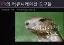 마케팅커뮤니케이션 PR전략 32페이지