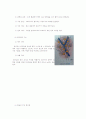 얼굴과 몸의 구조와 이해 11페이지