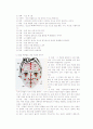 얼굴과 몸의 구조와 이해 15페이지