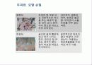 두피와  모발 손질 5페이지