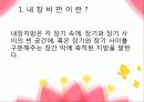 내장지방 3페이지