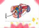 내장지방 14페이지