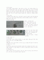 헤어 세팅 3페이지
