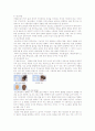 헤어 세팅 10페이지