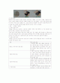  두피와 모발 손질 9페이지