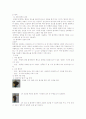 헤어 컬러링 19페이지