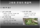 고령화사회의 개념과 해결방안 30페이지