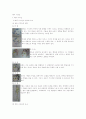 헤어 디자인 1페이지