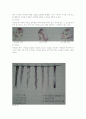 헤어 디자인 2페이지