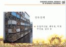 바이오 에탄올 11페이지