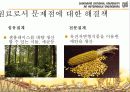 바이오 에탄올 13페이지