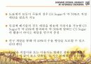 바이오 에탄올 20페이지