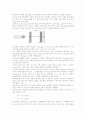 [일반물리 실험 보고서] Projectil Motion+++결과,고찰 有 3페이지