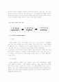 [시장조사]국내 와인산업 분석 및 발전방향 (A+리포트) 15페이지