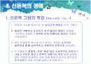 풍속화가 김홍도와 신윤복 - 미술교육론.ppt자료  15페이지