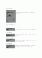 메이크업 11페이지