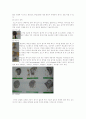 퍼머넌트 웨이브 6페이지