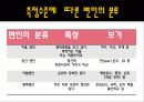통계의 기본개념 14페이지