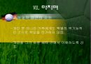 가족치료의 다양한 기법과 치료방법 31페이지