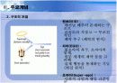 정신분석이론 10페이지