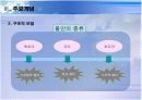 정신분석이론 15페이지