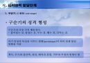 정신분석이론 28페이지