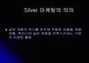 실버 산업의 필요성과 실버 마케팅 분석 3페이지