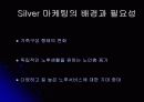실버 산업의 필요성과 실버 마케팅 분석 5페이지