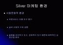 실버 산업의 필요성과 실버 마케팅 분석 6페이지