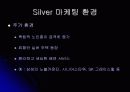 실버 산업의 필요성과 실버 마케팅 분석 7페이지