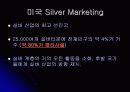 실버 산업의 필요성과 실버 마케팅 분석 41페이지