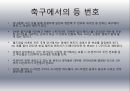 스포츠와 건강 29페이지