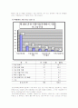2007마임축제평가 보고서 30페이지