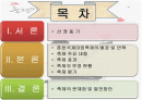 2007춘천국제마임축제 평가보고서 PPT 입니다! 2페이지