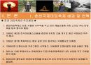 2007춘천국제마임축제 평가보고서 PPT 입니다! 5페이지