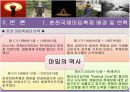 2007춘천국제마임축제 평가보고서 PPT 입니다! 6페이지