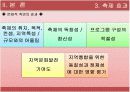 2007춘천국제마임축제 평가보고서 PPT 입니다! 17페이지