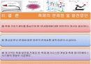 2007춘천국제마임축제 평가보고서 PPT 입니다! 20페이지