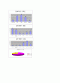 펜션 관광 사업보고서 입니다 19페이지
