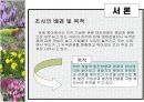 허브농장, 허브캐슬, 허브랜드 PPT자료입니다! 3페이지