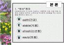 허브농장, 허브캐슬, 허브랜드 PPT자료입니다! 9페이지