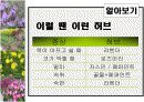 허브농장, 허브캐슬, 허브랜드 PPT자료입니다! 15페이지