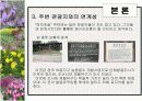 허브농장, 허브캐슬, 허브랜드 PPT자료입니다! 16페이지