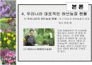 허브농장, 허브캐슬, 허브랜드 PPT자료입니다! 19페이지