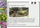허브농장, 허브캐슬, 허브랜드 PPT자료입니다! 20페이지