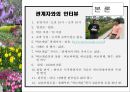 허브농장, 허브캐슬, 허브랜드 PPT자료입니다! 34페이지