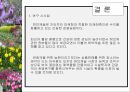 허브농장, 허브캐슬, 허브랜드 PPT자료입니다! 35페이지