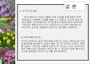 허브농장, 허브캐슬, 허브랜드 PPT자료입니다! 36페이지